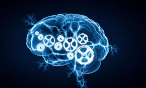 human brain gears Symbolic AI